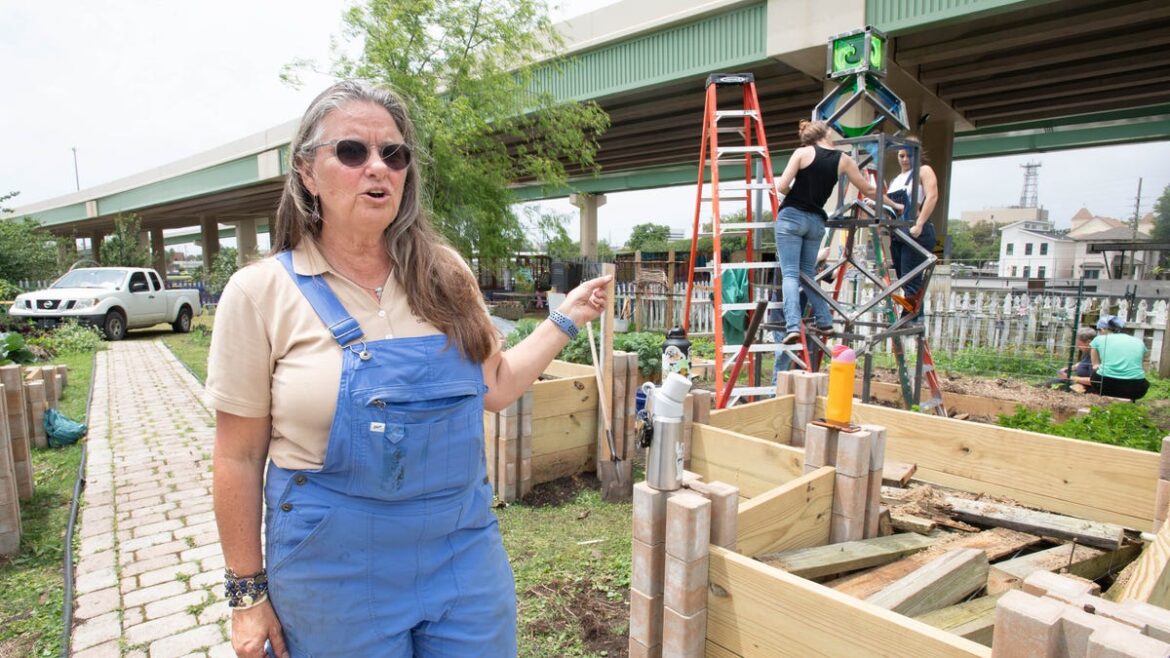 'From the Ground Up' sows seeds of community connection, healing
