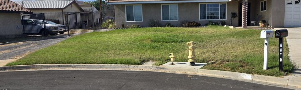 State Drought Turf Removal Before and After