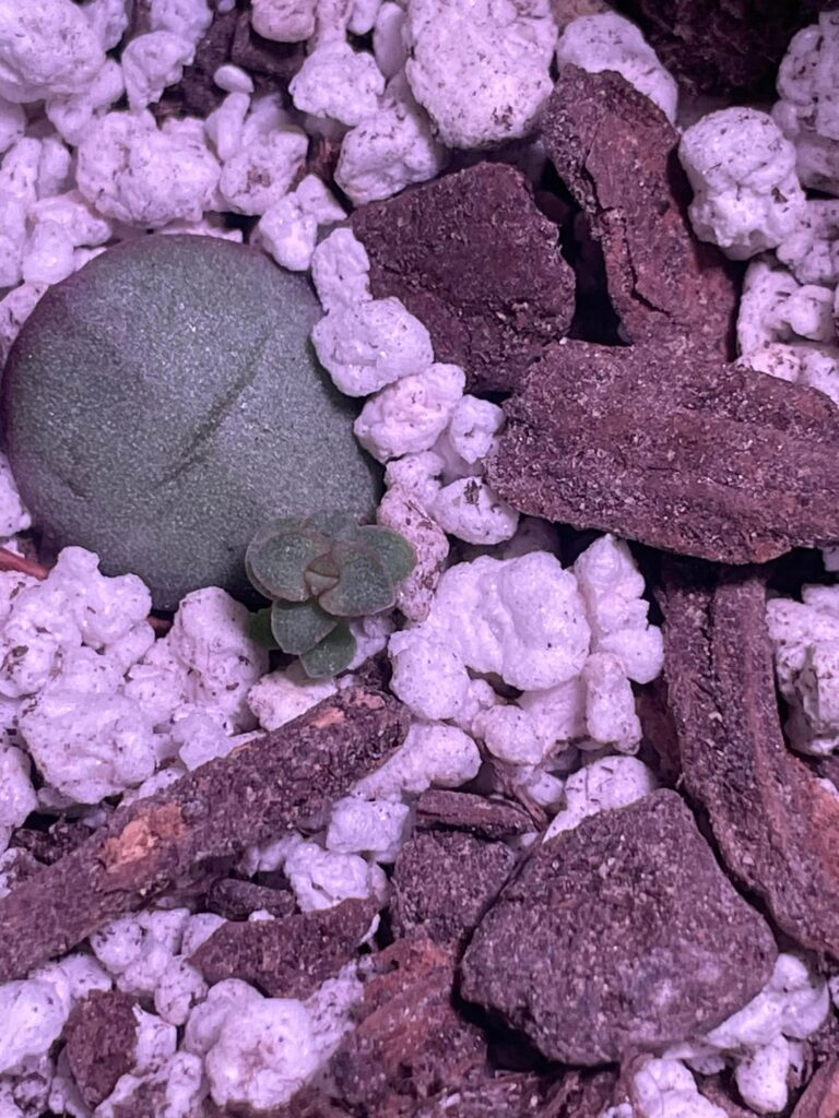 Can anyone tell me what this is? Can anyone tell me what this is?