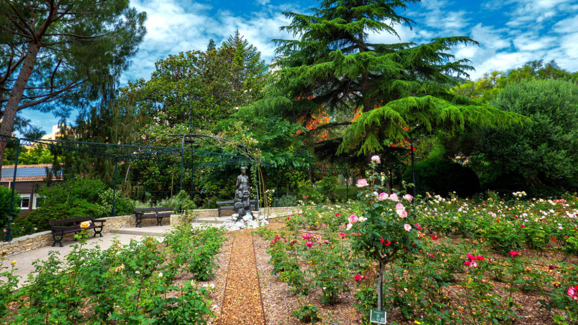 Princess Grace Rose Garden to host charity rosebush Sale Princess Grace Rose Garden to host charity rosebush Sale