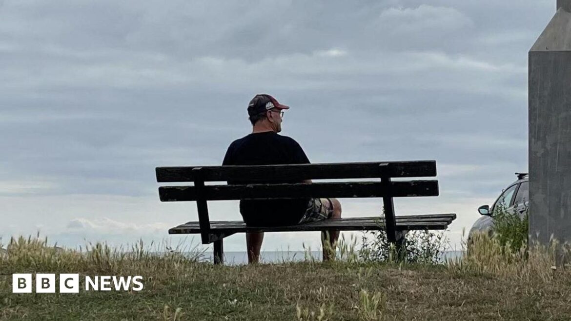 A man with a hat on sat on a bench, there are clouds in the sky and some green grass nearby.