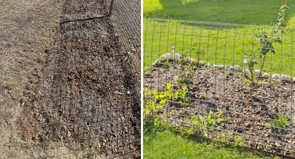 What the front garden looks like now compared to the listing pictures. Picture: Supplied/realestate.com.au