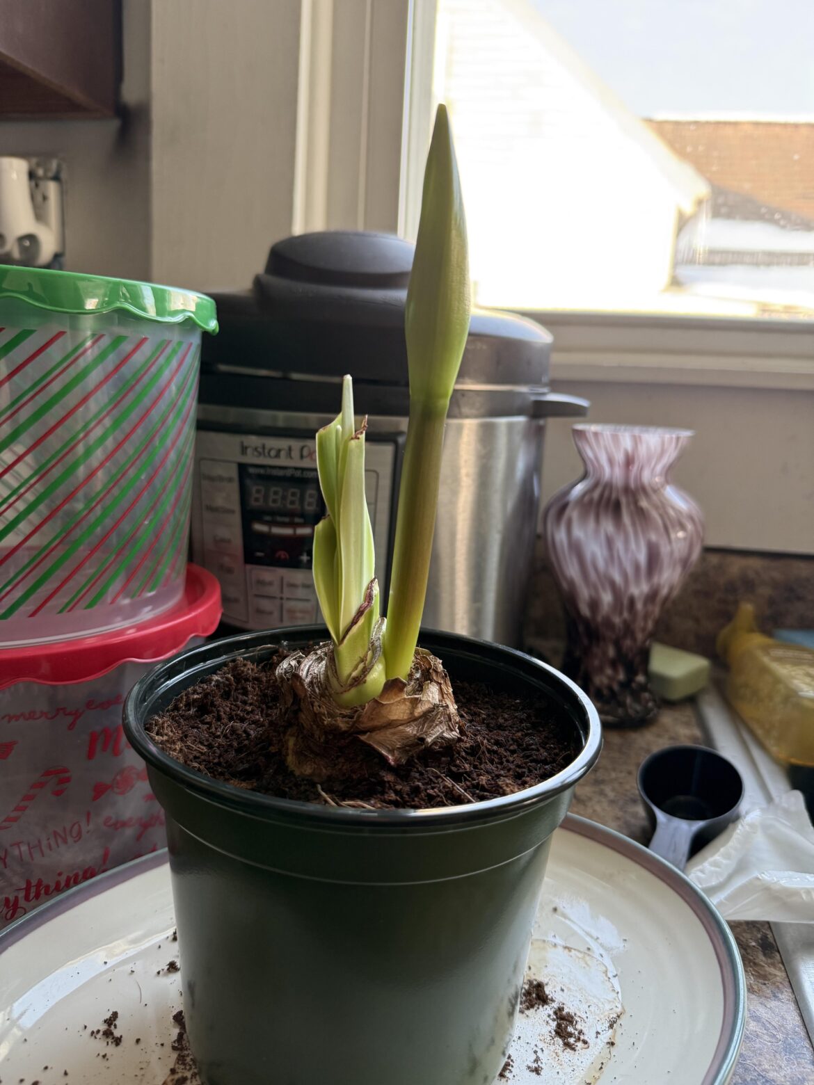 am i doing this right?? am i doing this right??