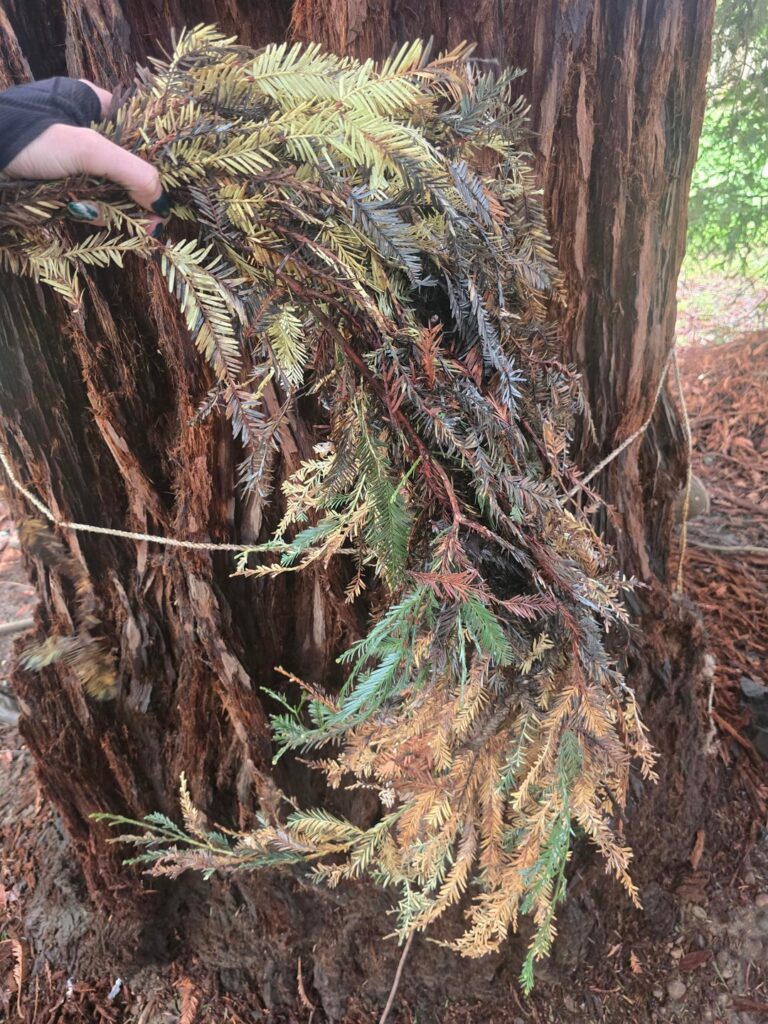 Any chance of saving this??? Any chance of saving this???