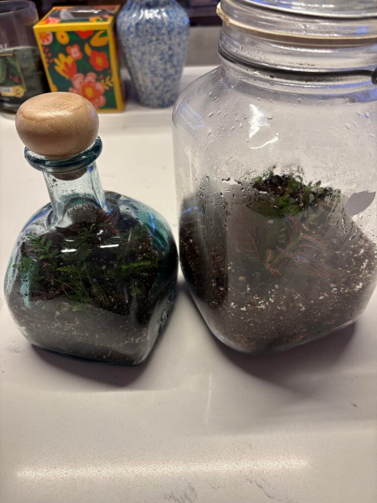 Found this dope potion bottle at the thrift store and it inspired me to finally make my first