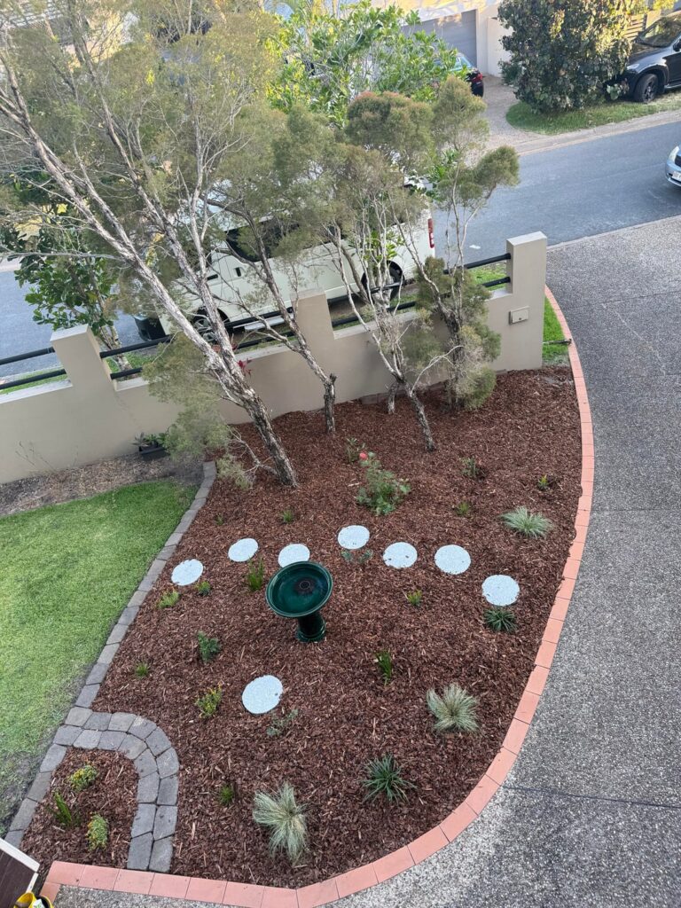 How often should I water my freshly planted native garden? How often should I water my freshly planted native garden?