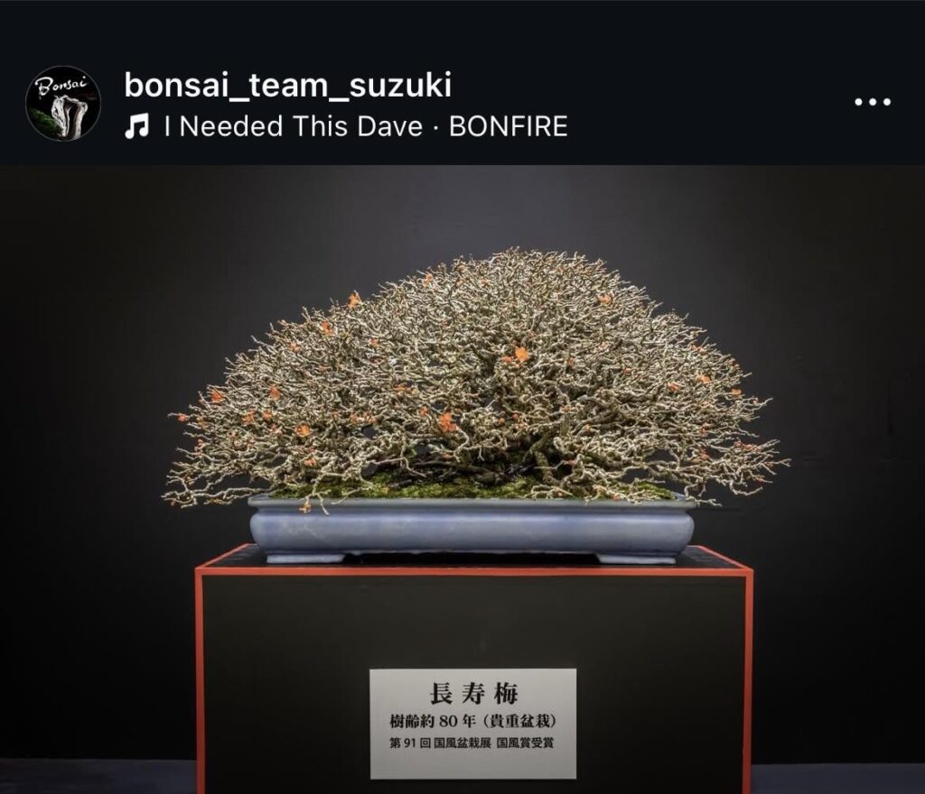 The perfect chojubai doesn’t exi-