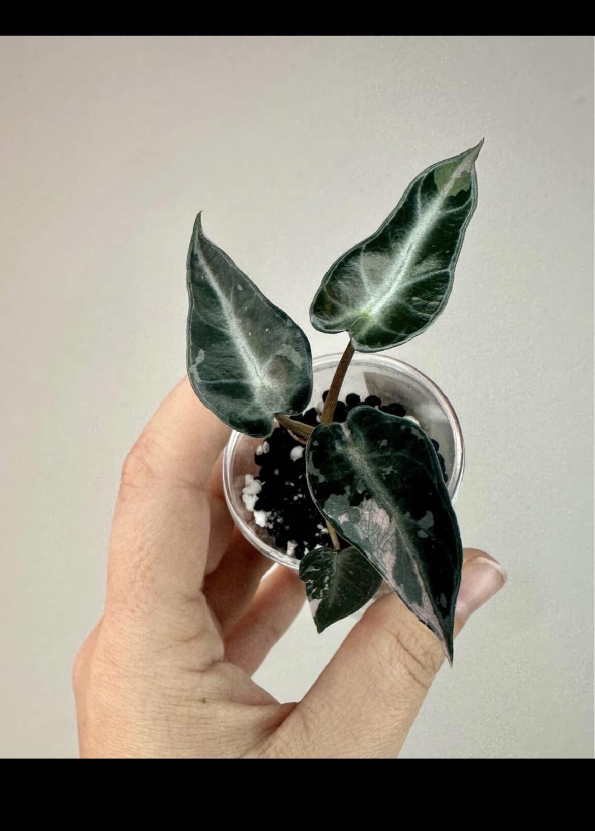 Is this a good deal?