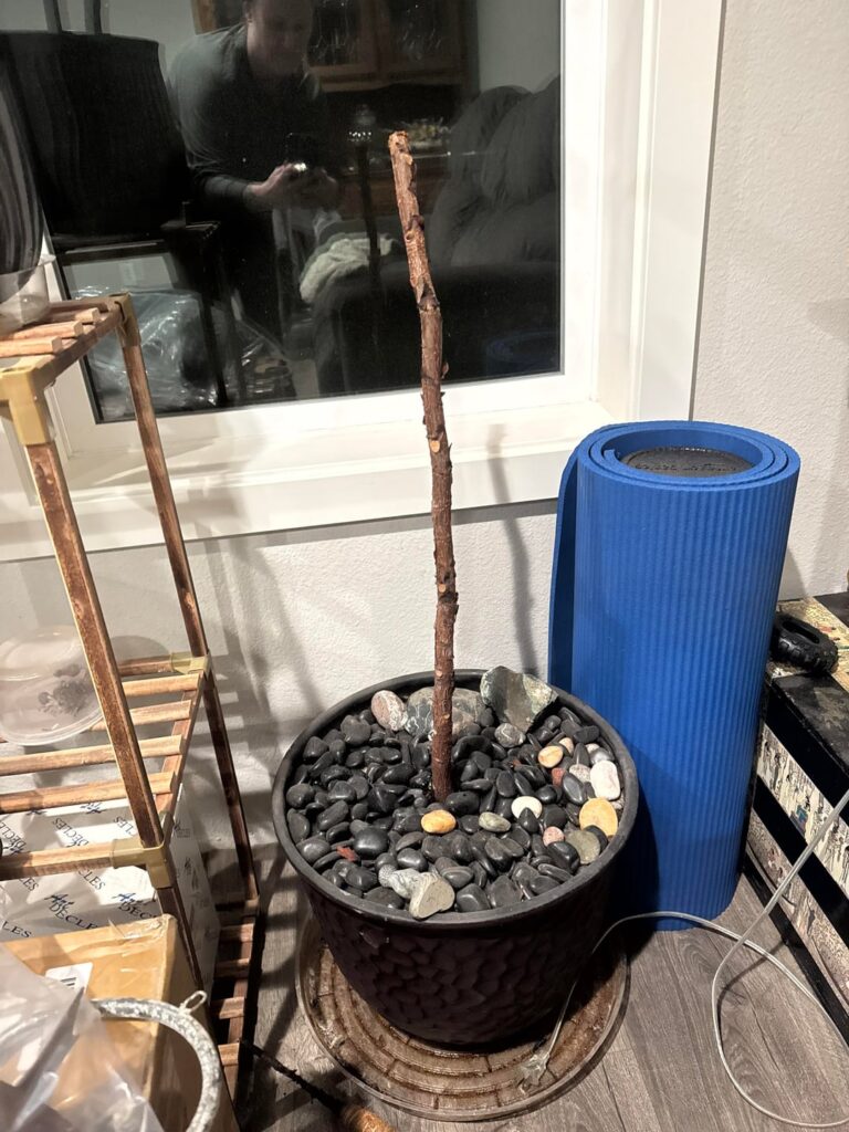 Nov 12 - Dec 11, normal or no?