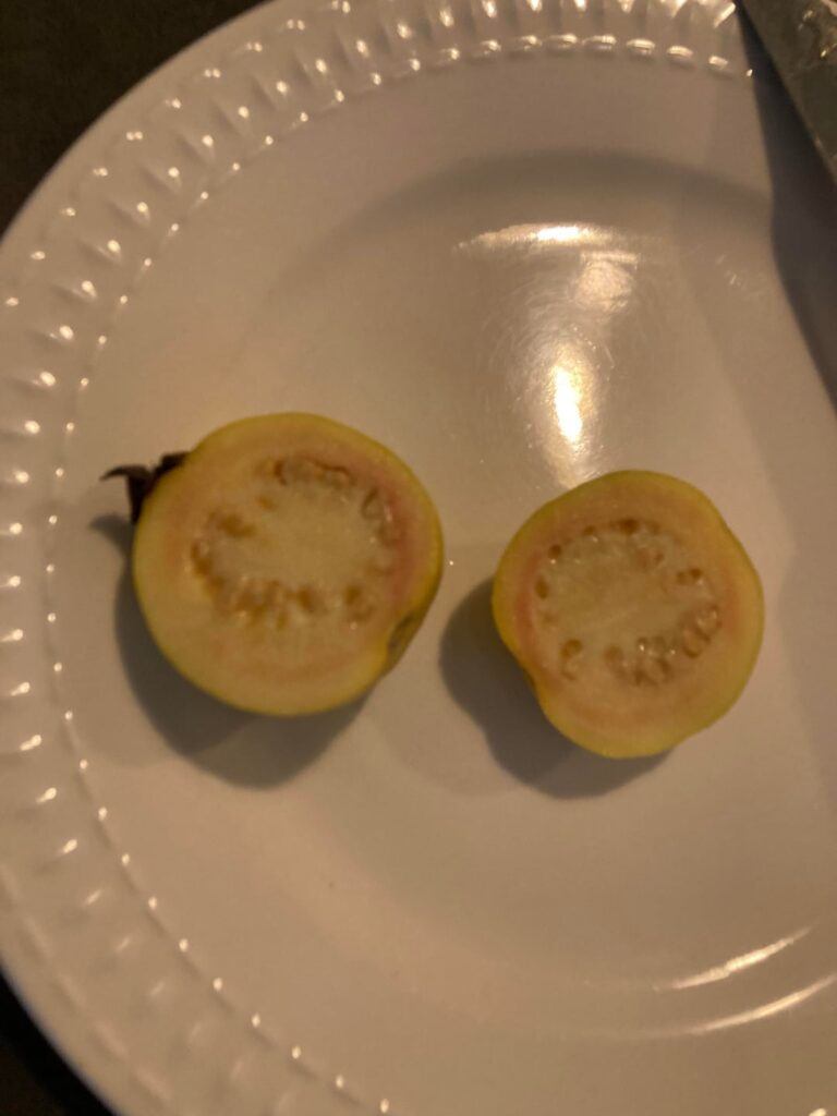 Fruit/tree in Orange County