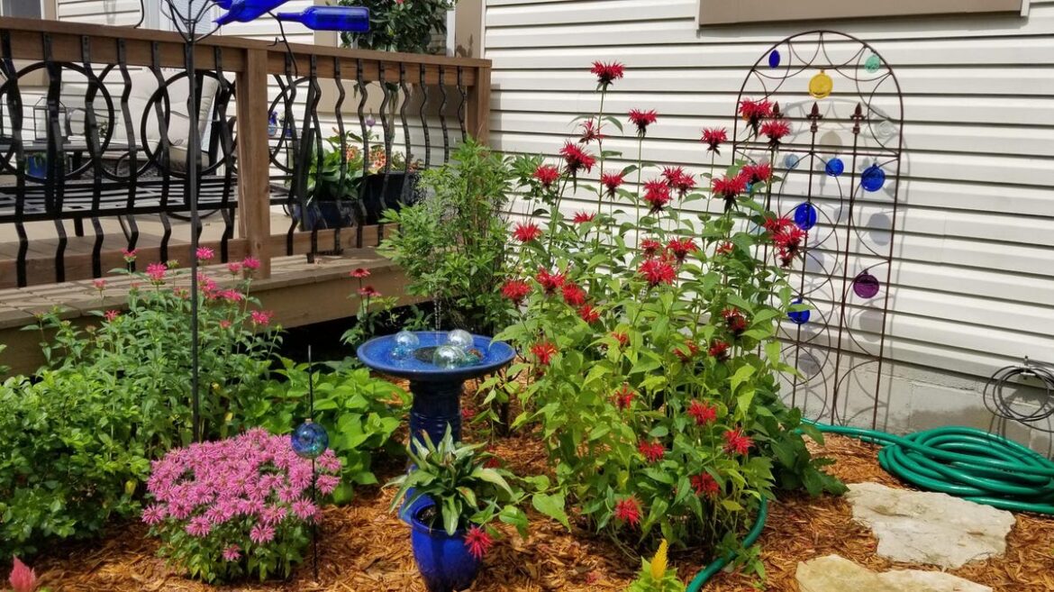 These gifts are sure to delight gardeners this holiday season