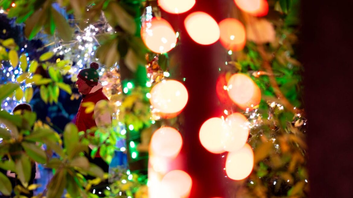 Outside-the-box gift ideas for the gardener in your life