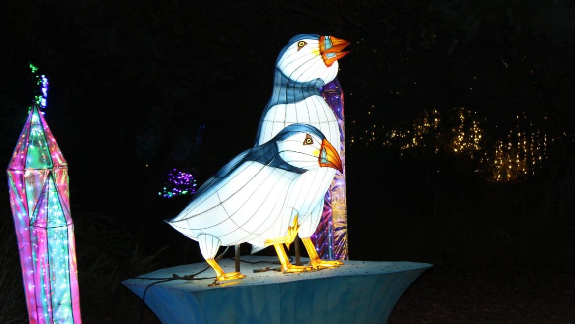 Redding Garden of Lights among best holiday shows 2nd year in a row Redding Garden of Lights among best holiday shows 2nd year in a row