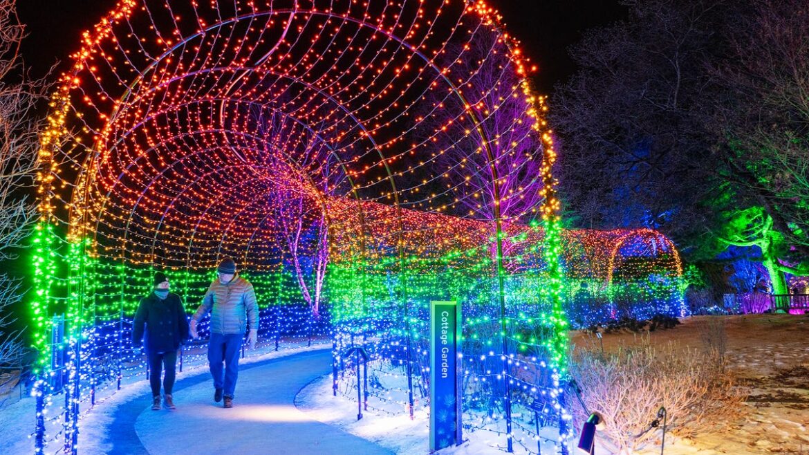 ‘Night Lights’ at Tower Hill named top holiday garden display in USA 'Night Lights' at Tower Hill named top holiday garden display in USA