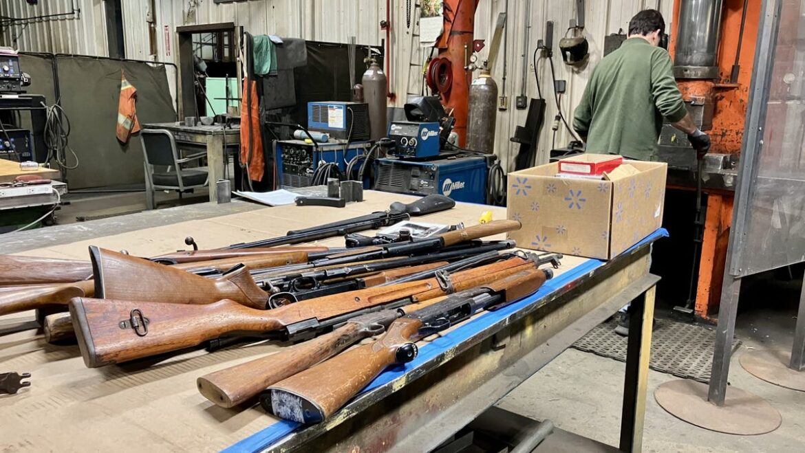 Guns 2 Gardens buyback program nets 130 guns in Worcester. Guns 2 Gardens buyback program nets 130 guns in Worcester.