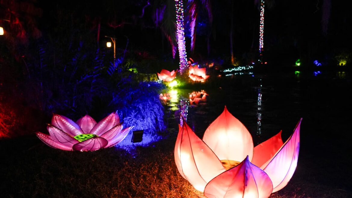 Jungle Lights display at McKee Botanical Garden highlights 'Amazonia'