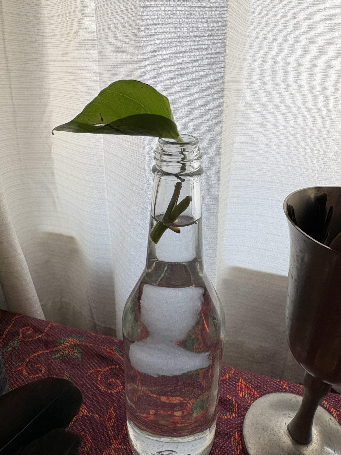 Am I doing this right?