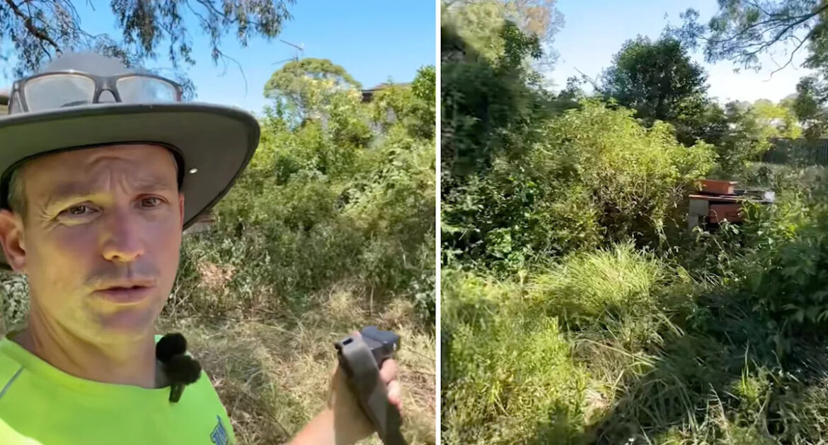 Aussie gardener clears 'nightmare' backyard in hours with unusual approach