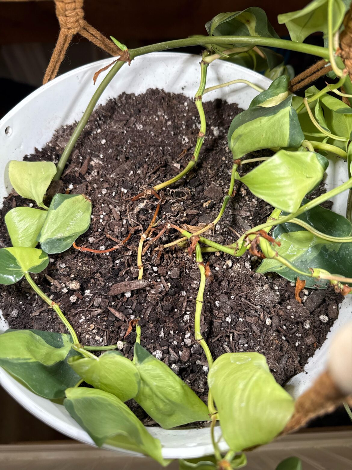 If I could turn back time …