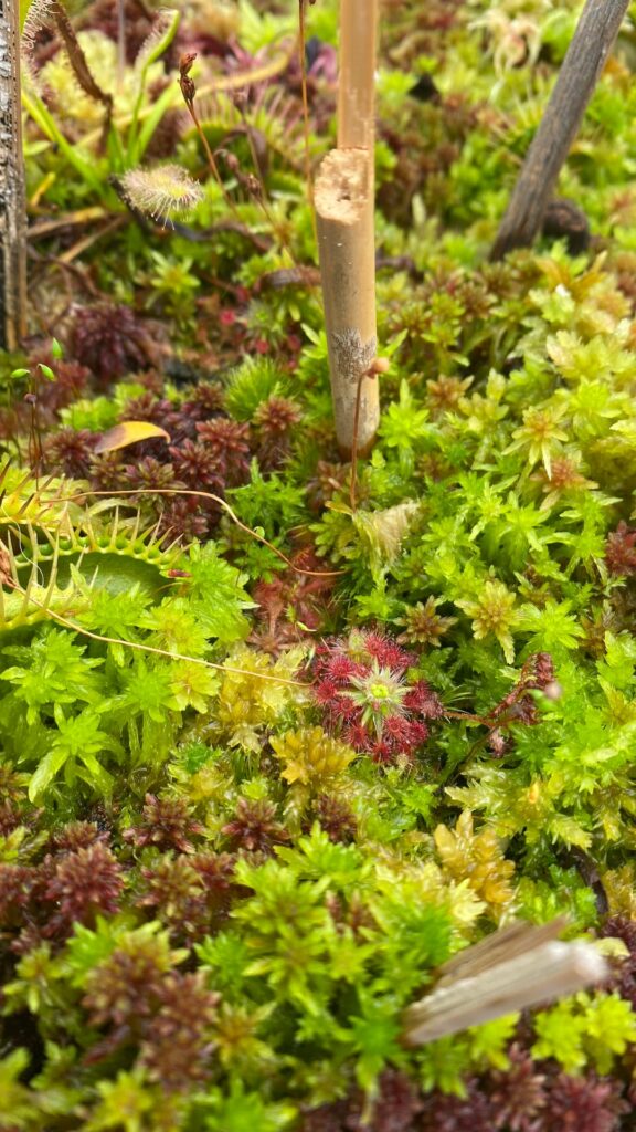 OMFG I AM HOME 🥰🥰🥰 OMFG I AM HOME 🥰🥰🥰