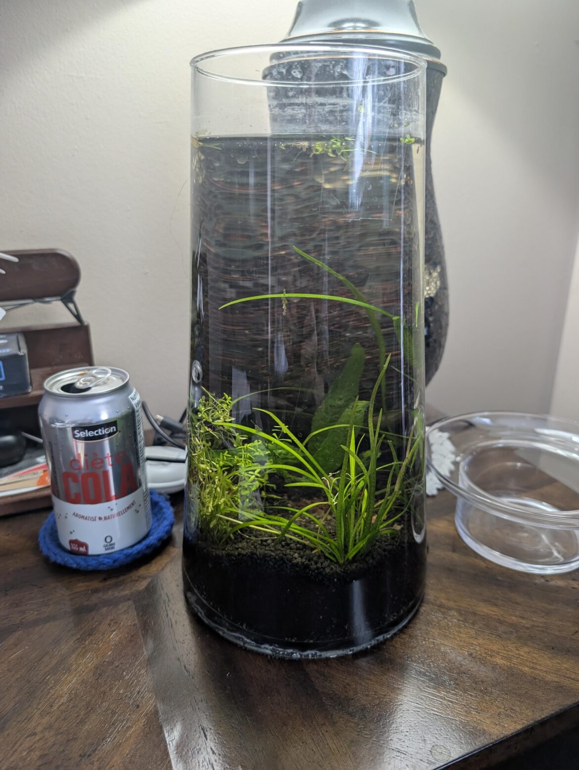 Jarrarium in progress