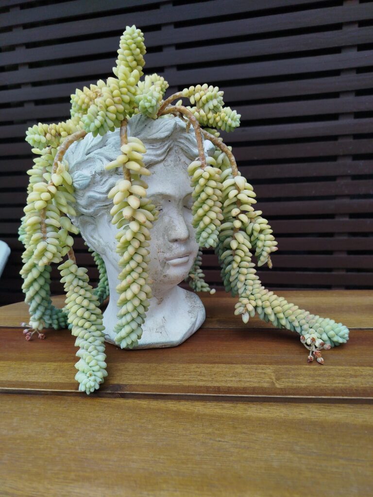 Do you like her hair?