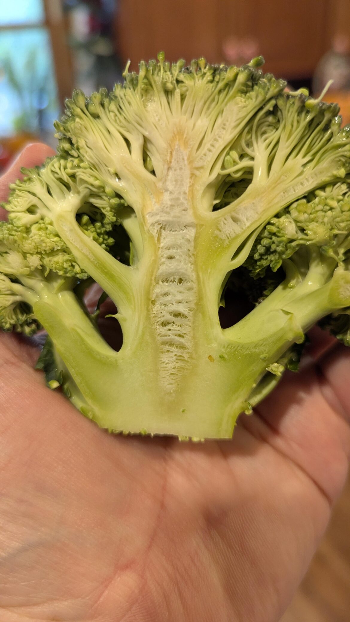 What's in my Broccoli?