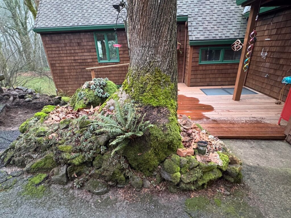 Tree root questions Tree root questions