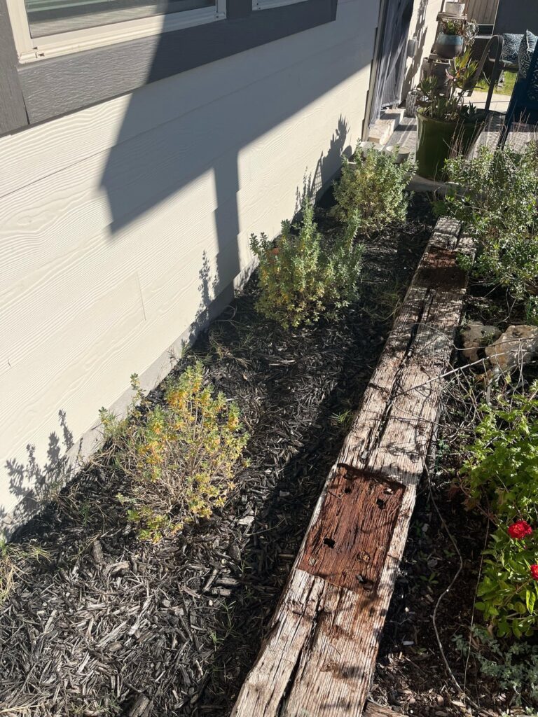 Help with Texas sages