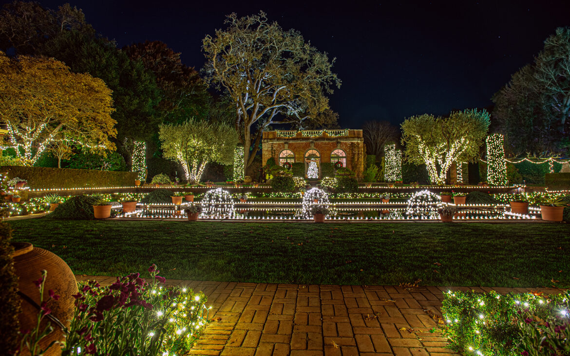 Holiday tree delivery, festive garden tours — your Peninsula December home & garden guide