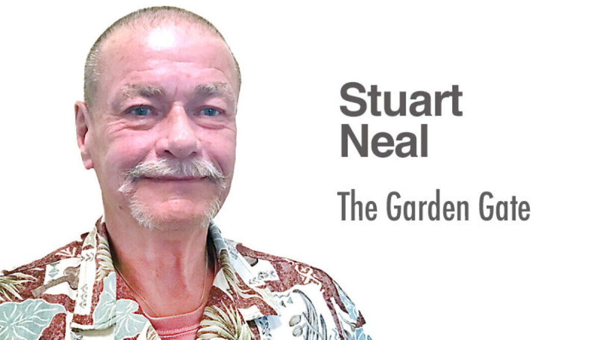 Garden Gate closes 2025 with annual year-in-review quiz