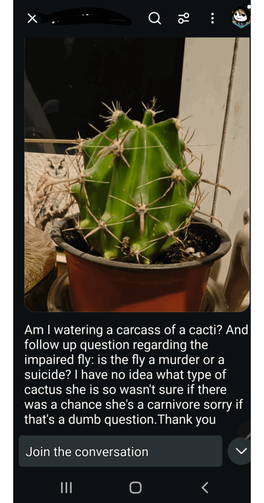Qhas my cactus died + did she kill a fly