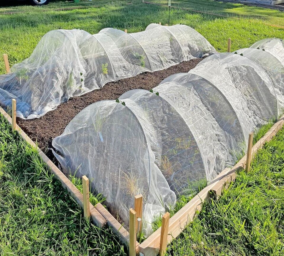 Medina County gardeners can learn soil prep, layout skills and planning basics at the OSU Extension’s Jan. 24 Garden Dreams workshop.