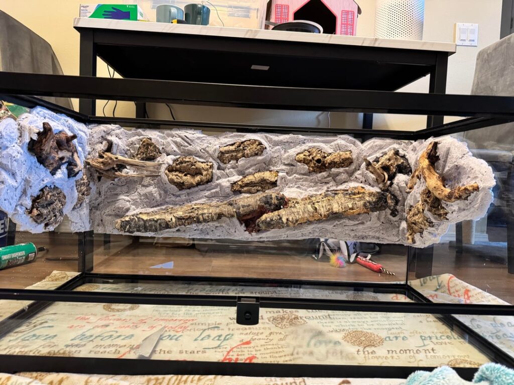 First Viv background carving done