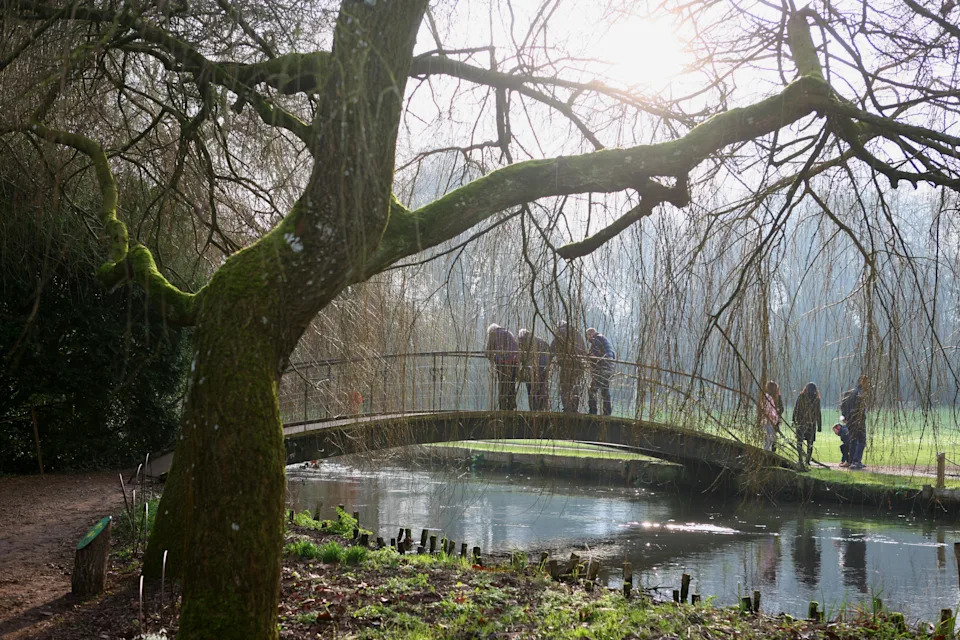 Footbridge over the River Test at Mottisfont, Hampshire (Alamy/PA)