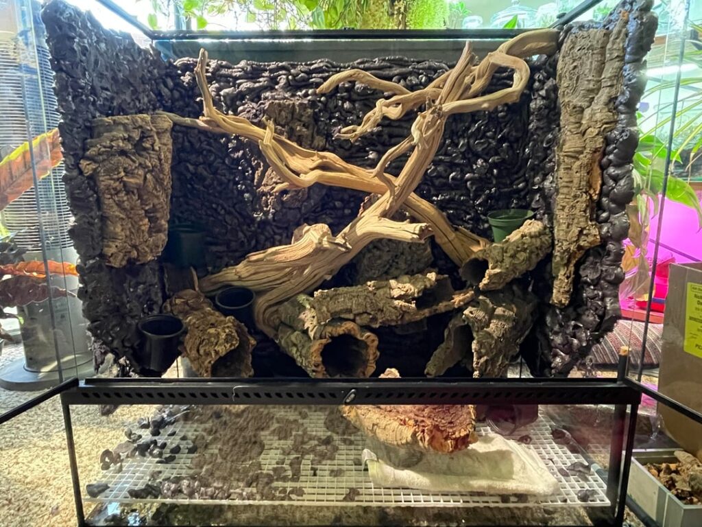 Wondering what order to do things next Wondering what order to do things next