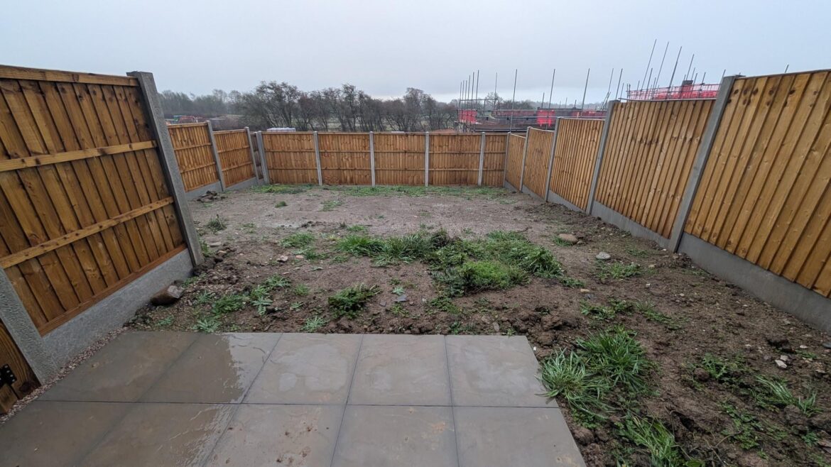 Looking for ideas… Looking for ideas...