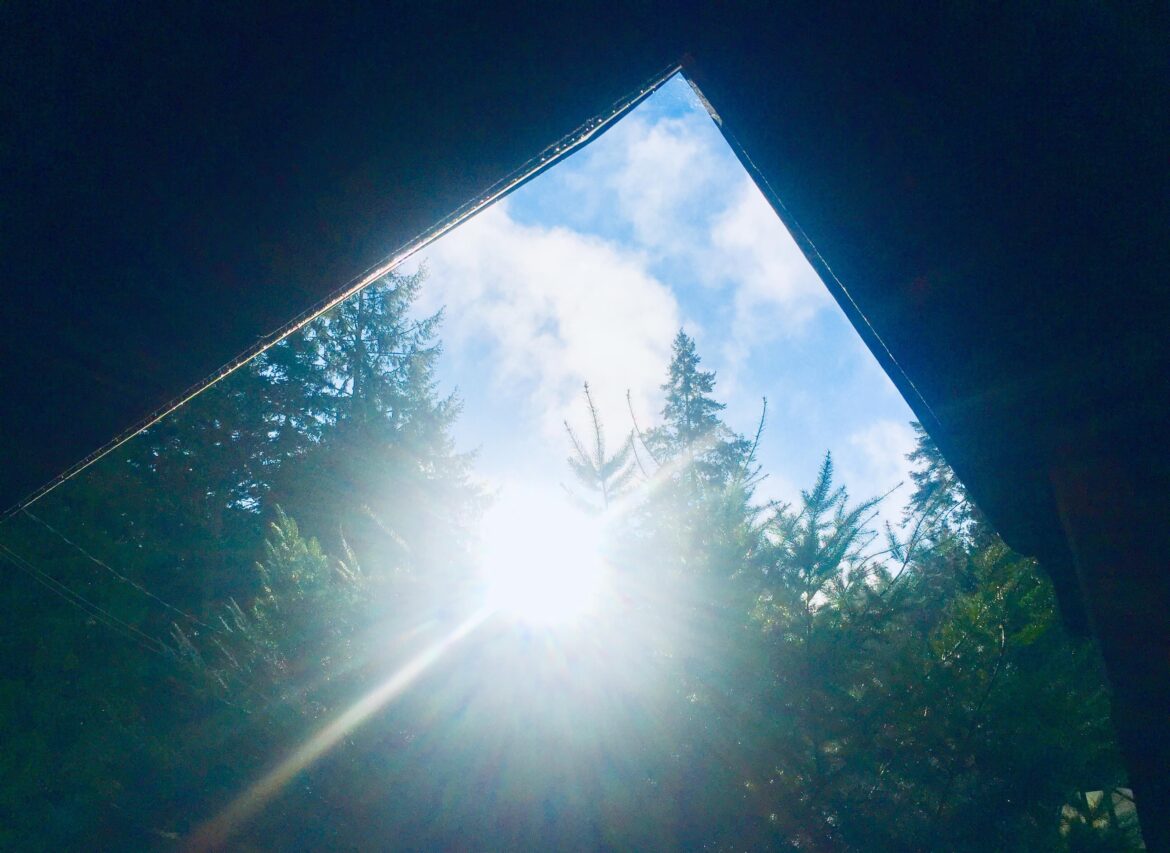 Happy Winter Solstice you guys :) It's all up from here ☀️