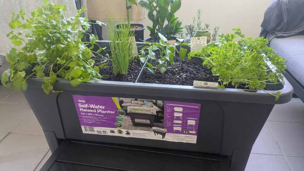 Jack Self-Water Raised Planter Jack Self-Water Raised Planter
