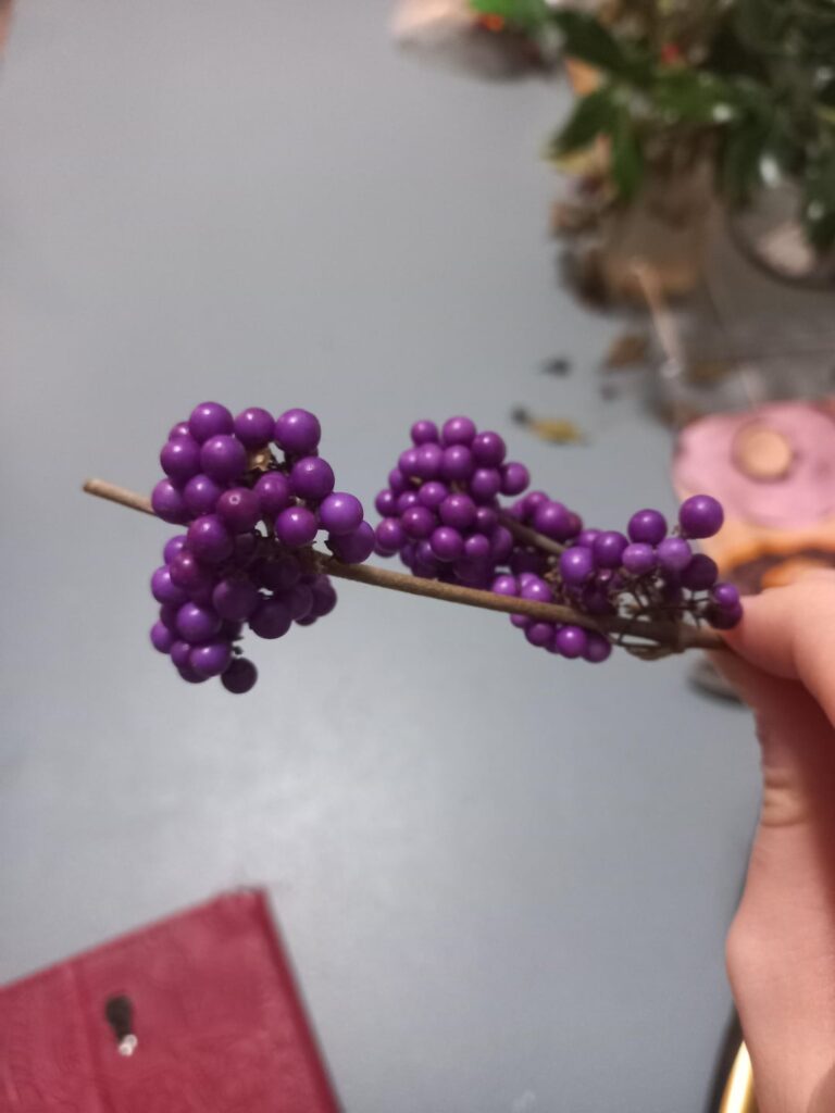 What IS this purple thing, ive never seen quite berry this vibrant before