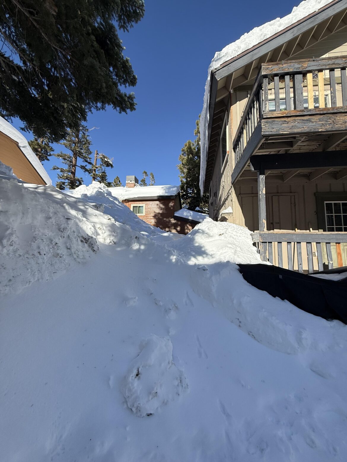 Forgot to take a before picture but glad I started my winter sowing last weekend before it snowed 5 feet! My milk jugs are under there somewhere