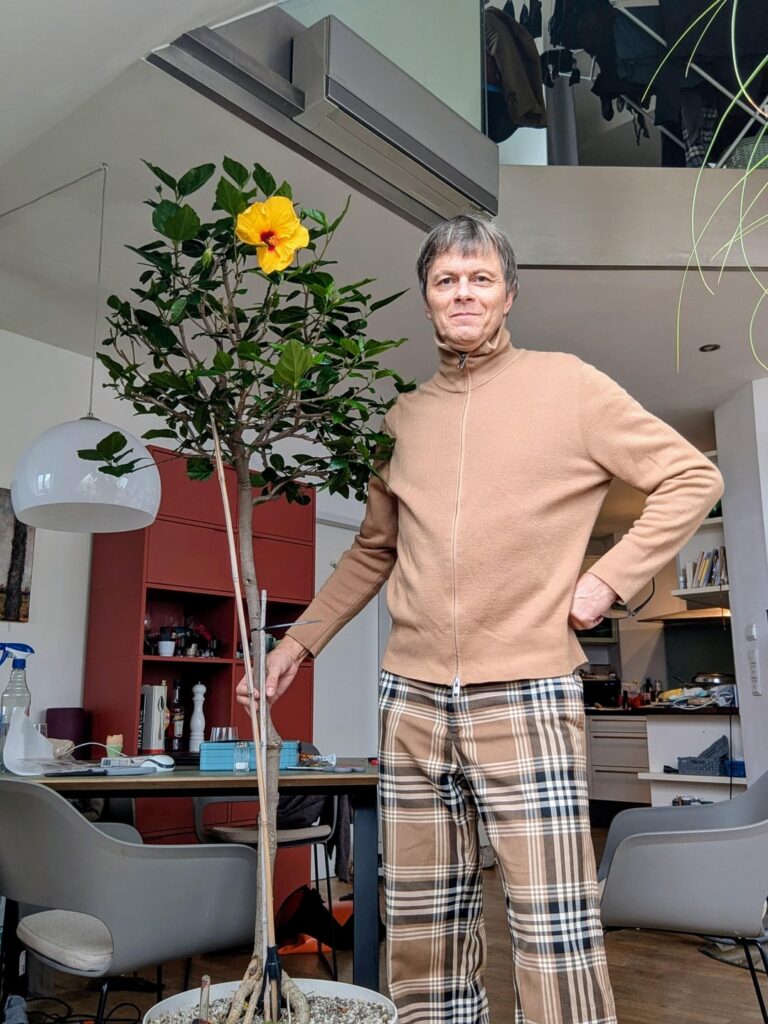 A tree by accident A tree by accident