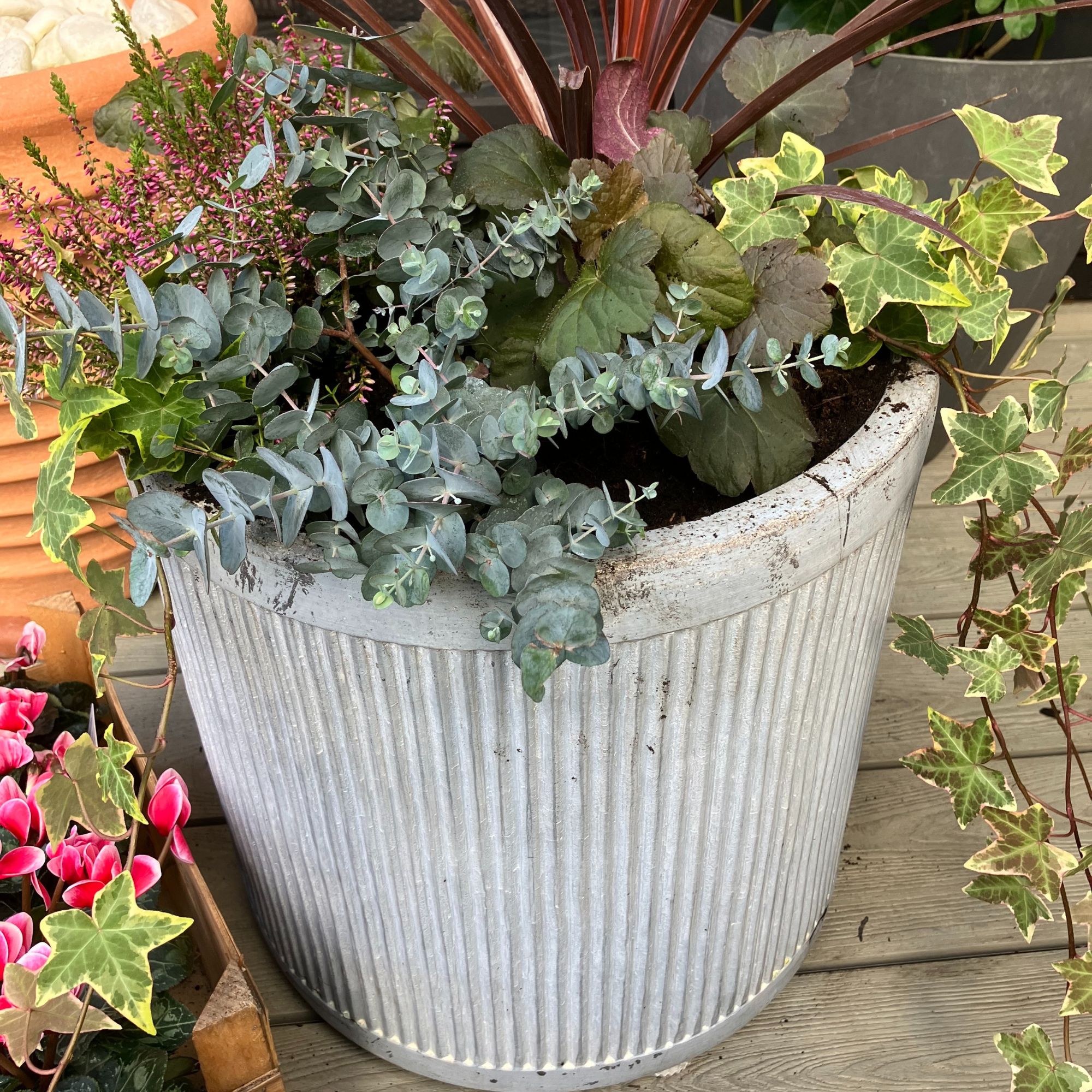 winter planter with eucalyptus and ivy