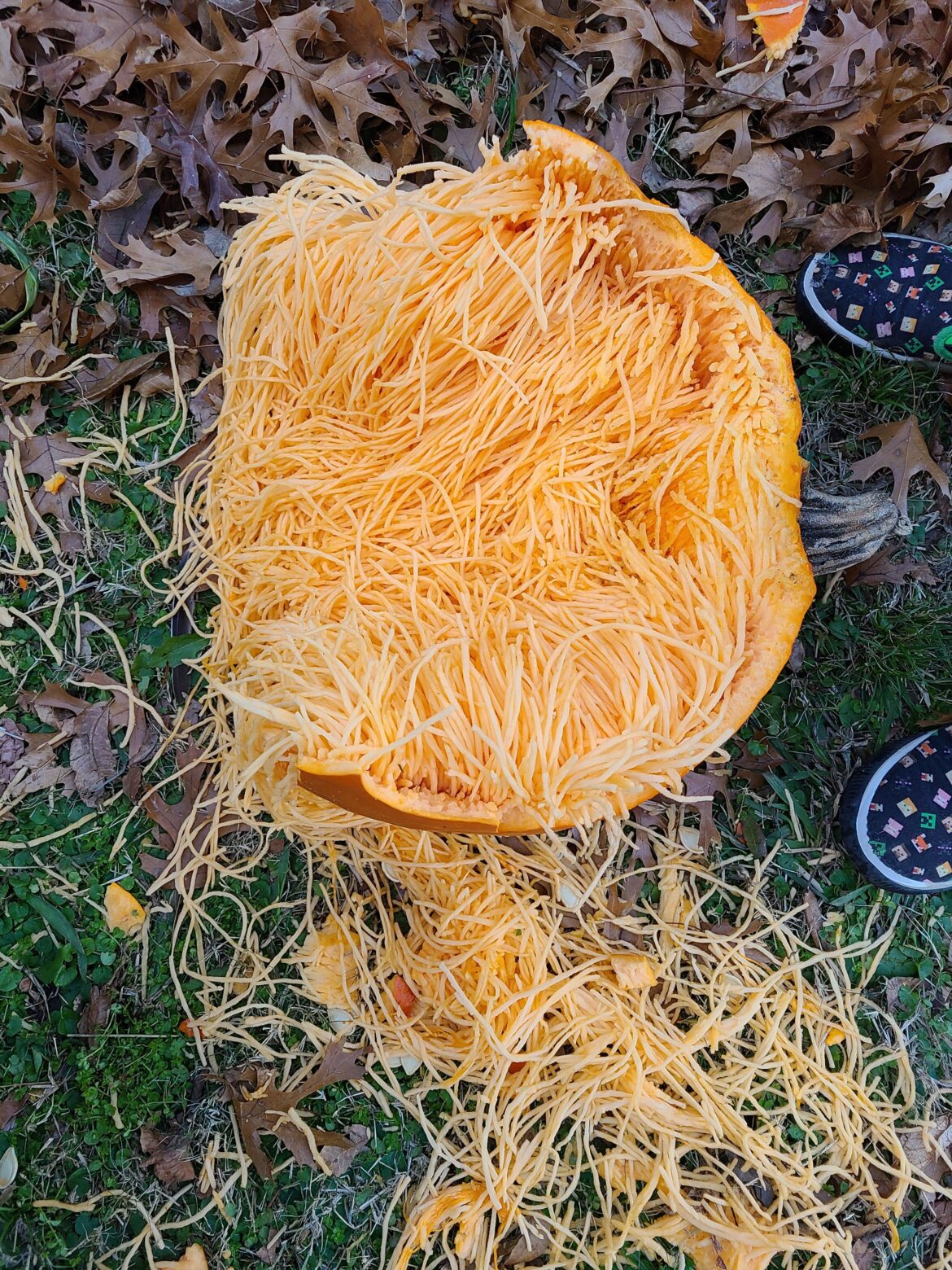 Any ideas why my pumpkin looks like this?