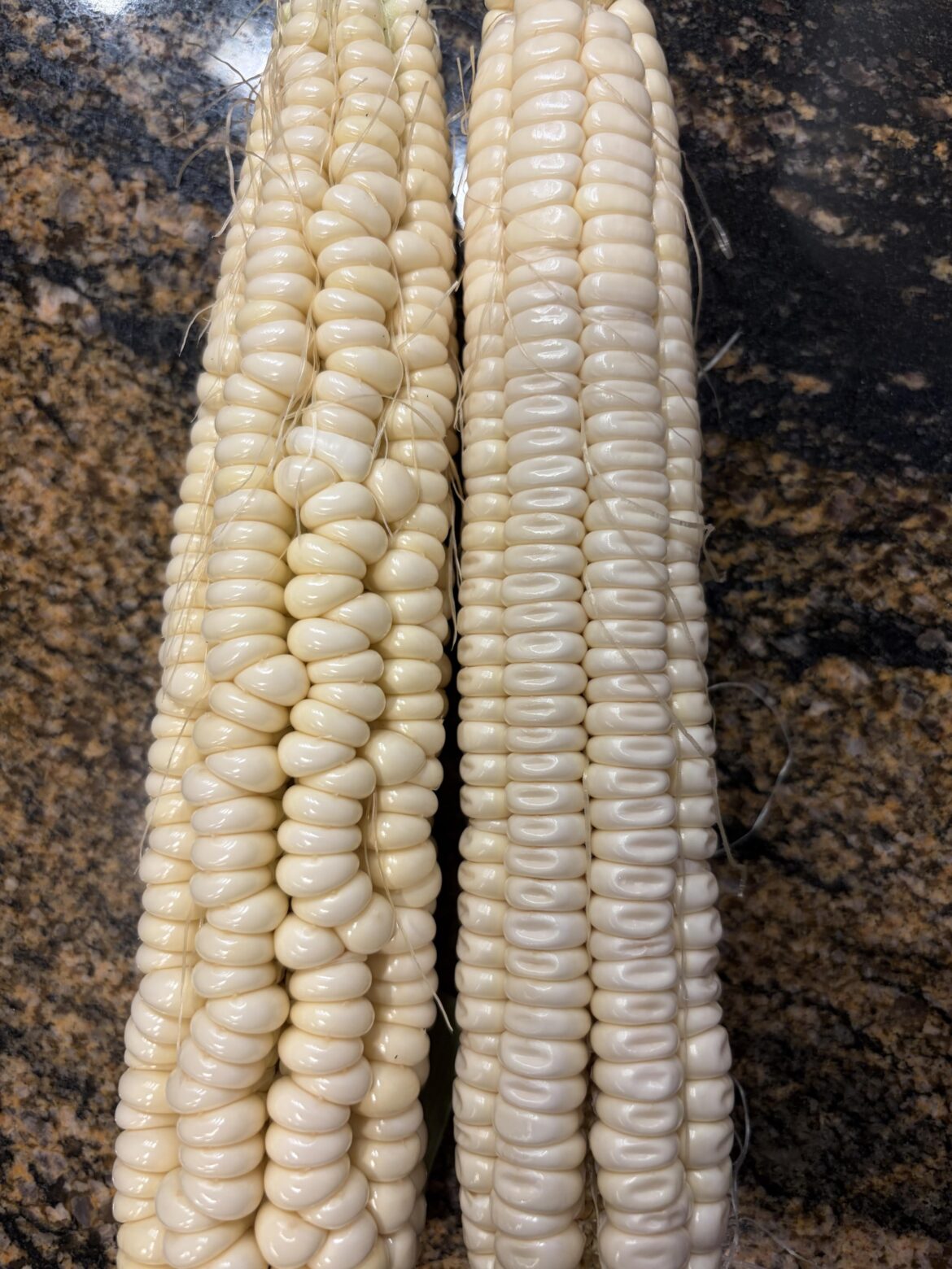 Anyone know why this happens?