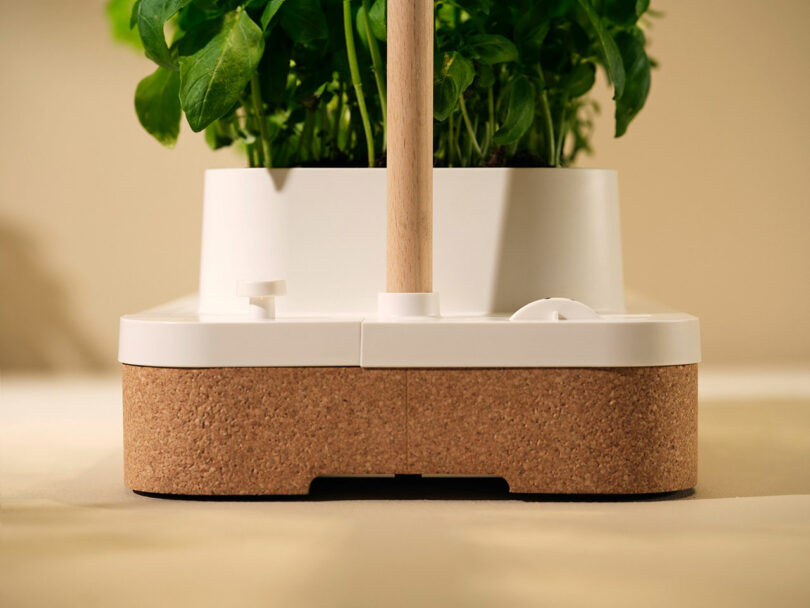 Close-up of a modern planter with green plants, featuring a white plastic container, wooden pole, and a cork base on a neutral background.