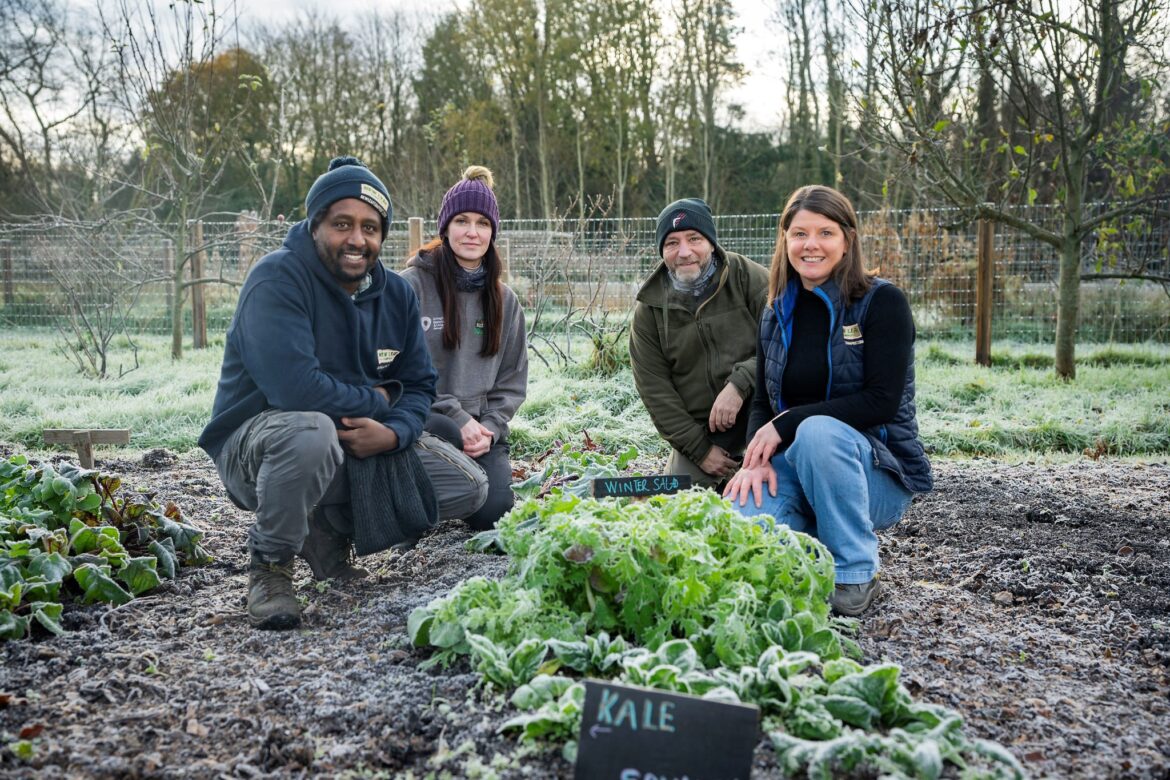 ‘No-Dig’ Garden at Kinnego celebrates second anniversary