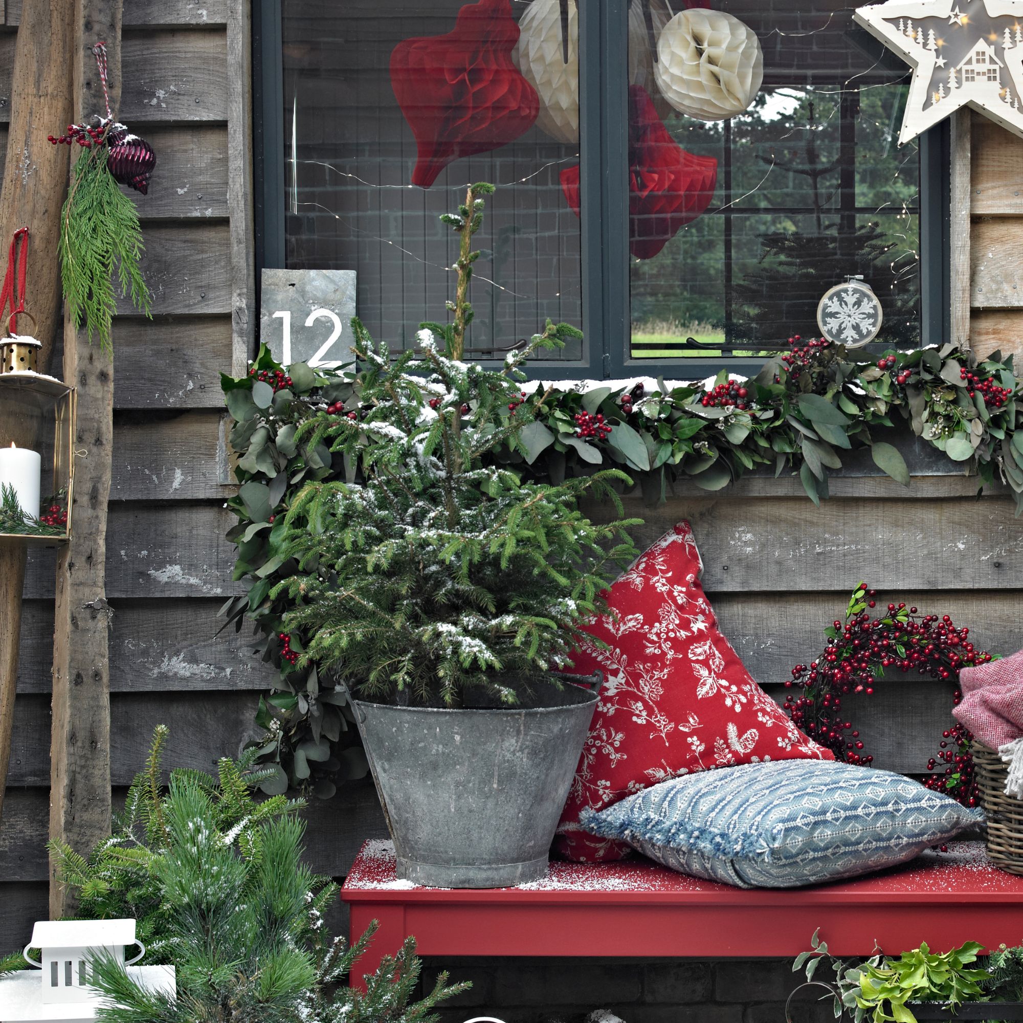 potted Christmas tree on bench