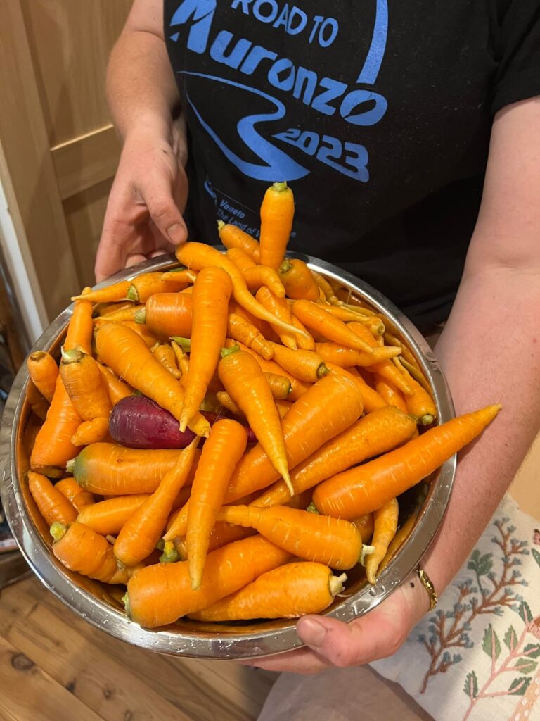 Biggest harvest so far! First year in our garden