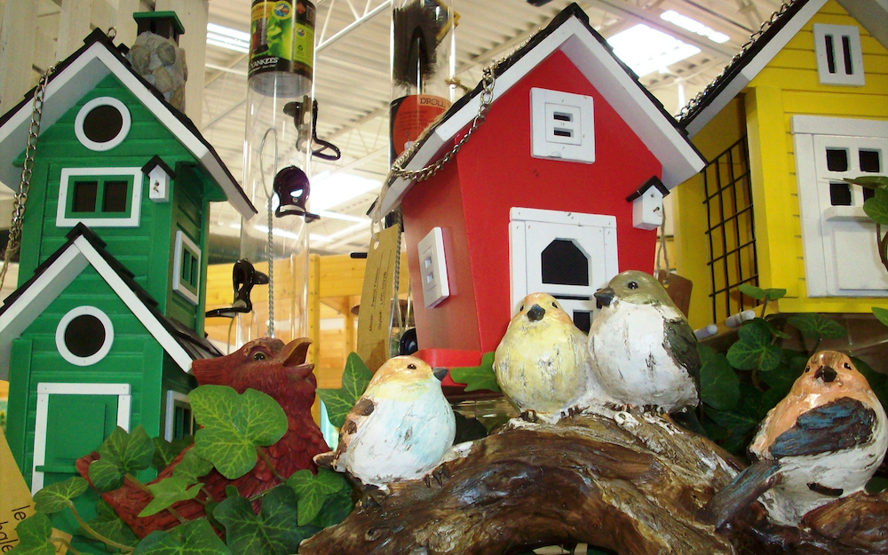 Great Gifts for Gardeners | The Citizen Great Gifts for Gardeners | The Citizen